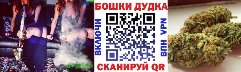 mega зеркало  Бор  нарко площадка какой сайт  продажа наркотиков  Конопля SATIVA & INDICA 